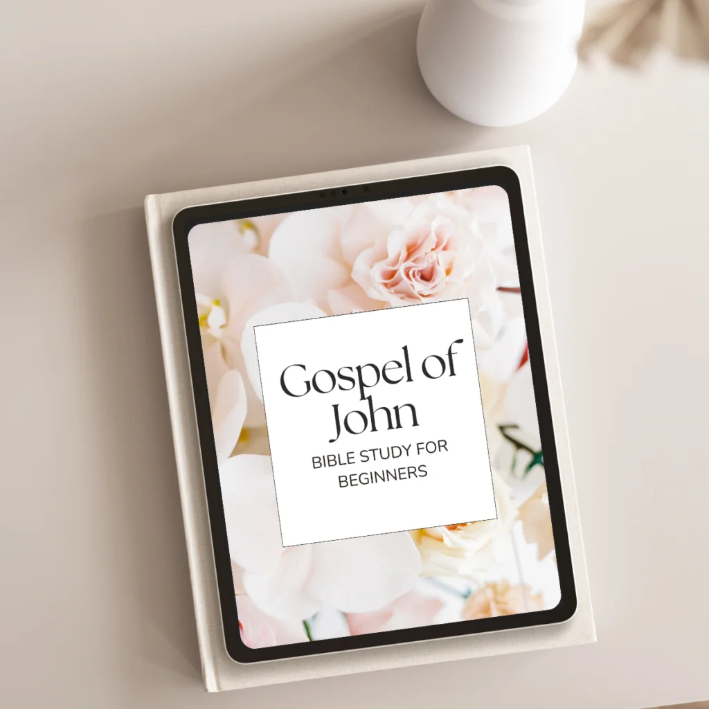 Gospel of John bible study notes
