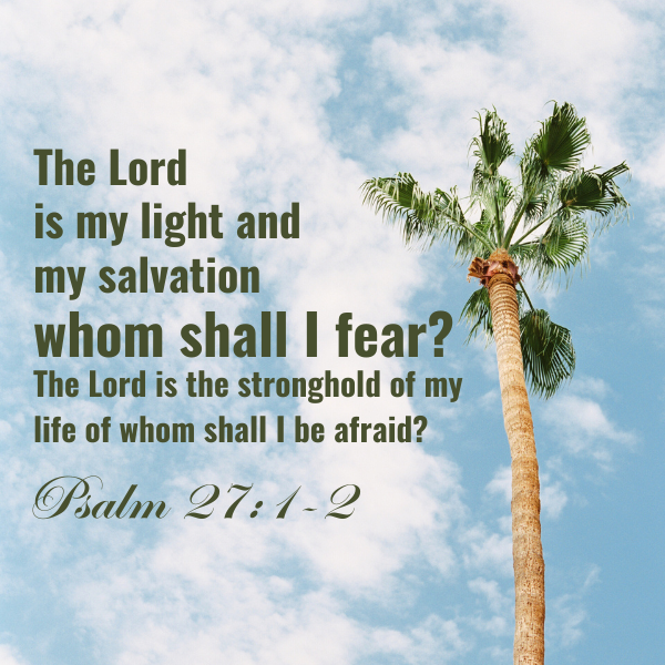 Psalm for peace