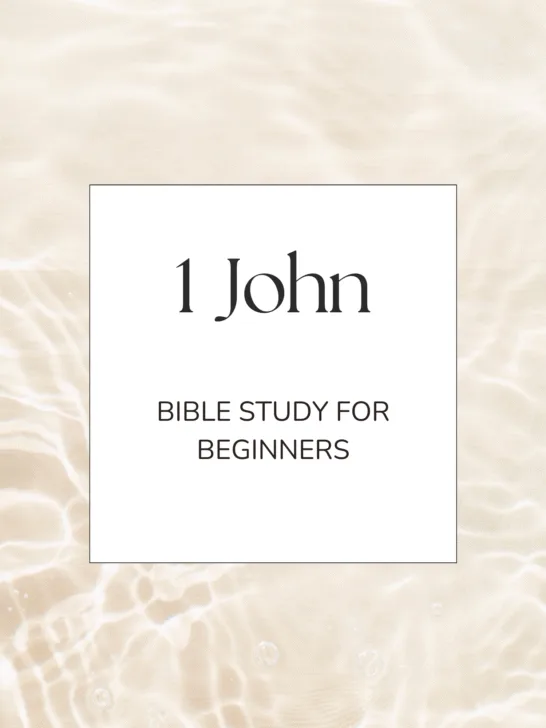 1 John Study Overview