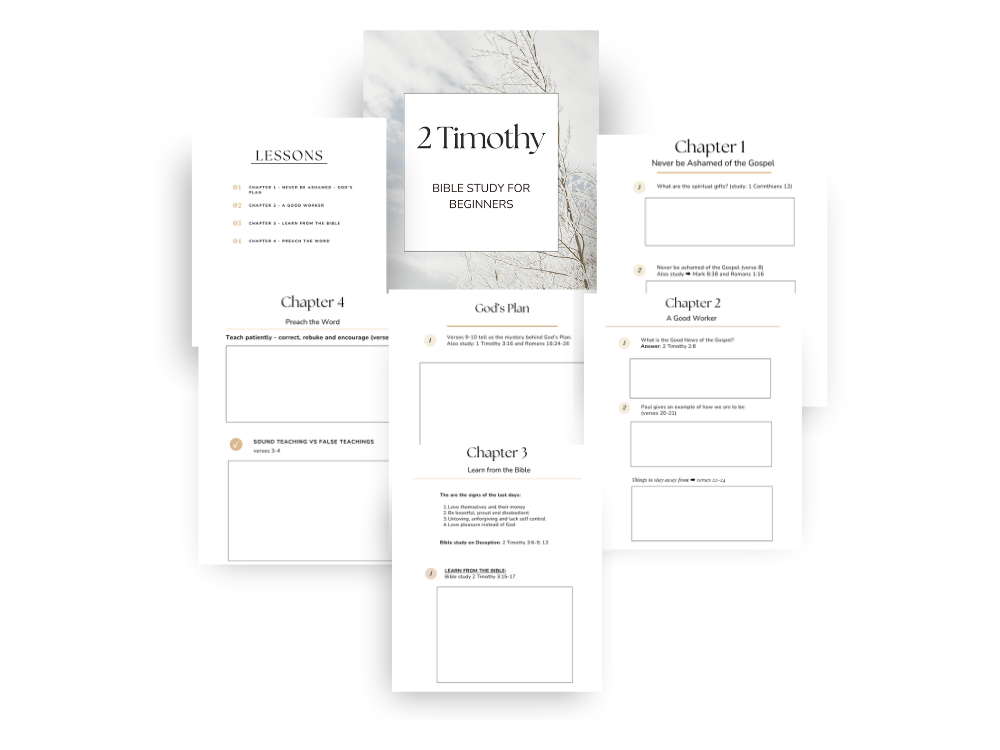 2 Timothy Bible Study PDF overview