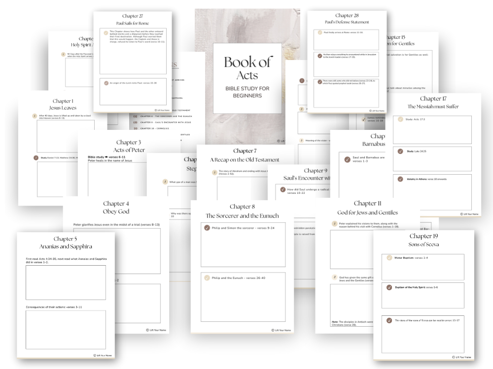 Book of Acts Bible Study PDF overview