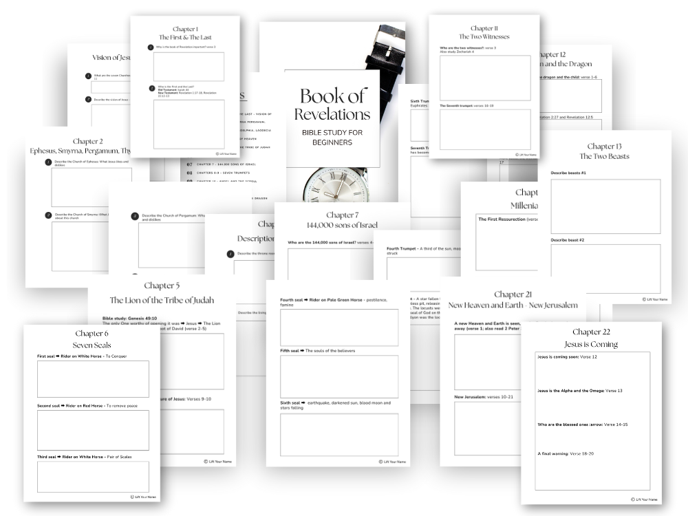Book of Revelations Bible Study PDF overview